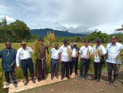 Petani Diminta Kembangkan Lahan Persawahan