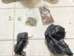 Empat Pemilik Ganja Dibekuk Polisi di Dermaga Jayapura