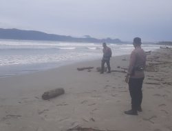Nelayan Tenggelam dan Hilang di Laut Holtekamp Saat Cari Ikan, Polisi dan Tim Gabungan Masih Lakukan Pencarian