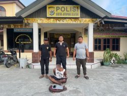 Curi Laptop dan Handphone, Seorang Oknum Pemuda Diringkus Polisi