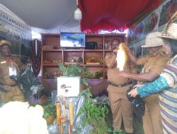Pemprov Papua Pegunungan Gelar Pameran Berbagai Hasil Karya Dalam Rangka HUT RI Ke 78