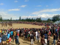 Bupati Jayawijaya Meminta Jaga Nilai Budaya Sebagai Identitas dan Jati Diri Orang Baliem