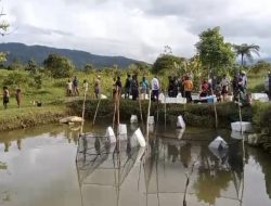 Dua Puluh Kelompok Masyarakat di Kobakma Terima Bantuan Bibit Ikan