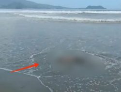 Korban Tenggelam di Holtekamp 1 Orang Ditemukan di Pinggir Pantai