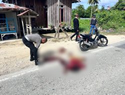 Ditabrak Motor, Seorang Pejalan Kaki Meregang Nyawa