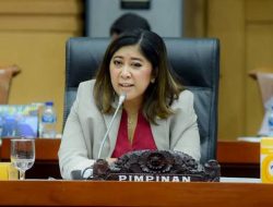 Ketua Komisi I DPR: Sudah Ada Komunikasi Pilot Sandera KKB dan Keluarga