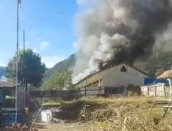 KKB Kembali Berulah, SD N. Inpres Pogapa Intan Jaya Dibakar