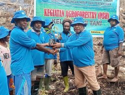 Penguatan Agroforestri: Upaya Kelestarian dan Kesejahteraan di Kampung Gwagi