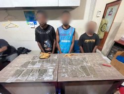 Polisi Bekuk Pengedar Ganja Kelas Kakap Diduga Beroperasi Lintas Negara