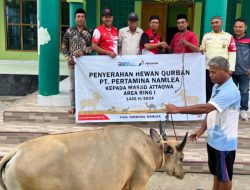 Rayakan Idul Adha 2024, Pertamina Patra Niaga Regional Papua Maluku Salurkan 128 Hewan Kurban untuk Masyarakat