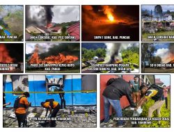 Rentetan Pembakaran Sekolah oleh KKB pada Tahun 2023-2024: Dampak dan Upaya Pemulihan