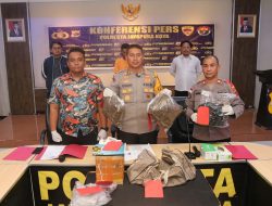 Satuan Narkoba Polresta Jayapura Berhasil Gagalkan Pengiriman 2,5 Kg Ganja di Pelabuhan Laut Jayapura