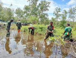 Peduli Ekosistem Laut, Koramil Warbah Tanam Bibit Mangrove Di Sarafambai