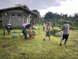 Hidup Bermasyarakat, Satgas TNI Pos Yamara Bergotong Royong Bersihkan Gereja di Perbatasan Papua