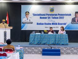 Sosialisasi Peraturan Pemerintah No. 54 Tahun 2017 Tentang Tata Kelola BUMD di Papua Tengah