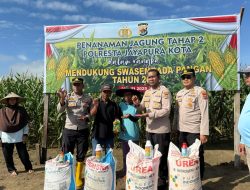 Kapolresta Jayapura Kota Dorong Kemandirian Pangan Lewat Penanaman Jagung Tahap II