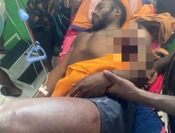 Tiga Warga Tewas, 11 Honai Dibakar dalam Serangan KKB di Puncak Papua