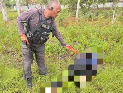 Satgas Damai Cartenz Selidiki Pembunuhan Pegawai Honorer di Yahukimo, Diduga Libatkan KKB