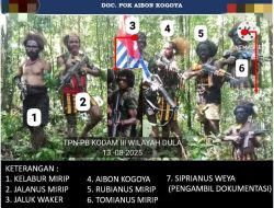 Anggota KKB Penembak 2 Brimob di Nabire Ditangkap Satgas Damai Cartenz