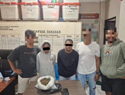 Polisi Tangkap Mahasiswa di Terminal Mesran, 400 Gram Ganja Disita