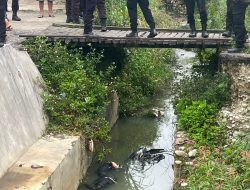 Polisi Selidiki Penemuan Mayat Pria Mengambang Bersama Motor di Sungai Wamena