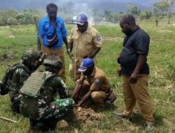 Tingkatkan Ketahanan Pangan, Dinas Pertanian Mamteng Manfaatkan Halaman Kantor untuk Tanaman Produktif