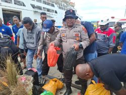 Digagalkan di Pelabuhan Jayapura, Polisi Sita Ratusan Liter Sopi Ilegal Asal Ambon