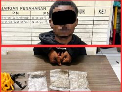 Modus Simpan Ganja di Celana dan Kotak Teh, Dua Pemuda Diringkus Satresnarkoba di Pelabuhan Jayapura