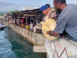 Aksi Cepat Satpolairud Polresta Jayapura Kota Selamatkan dan Lepasliarkan Penyu Hijau di Dermaga PPI Hamadi