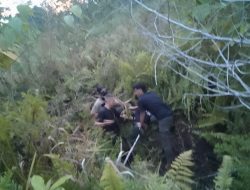 Pelarian Berakhir: Satgas Damai Cartenz Ringkus Anggota KKB Yahukimo yang Kabur dari Lapas Wamena