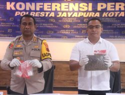 Gagalkan Peredaran Ganja di Perbatasan RI–PNG, Polsek Muara Tami Amankan 17 Paket Siap Edar