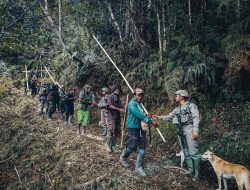 Dedikasi di Garis Depan: Menjaga Nadi Kehidupan Kiwirok Tetap Berdenyut di Hari Kemenangan
