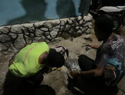 Gerebek Peredaran Ganja di Lembah Furia, Polresta Jayapura Kota Ringkus Dua Pemuda