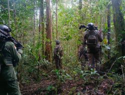 Lumpuhkan Pergerakan KKB Yahukimo, Satgas Damai Cartenz 2026 Sita Ratusan Senjata Tajam dan Senapan Angin