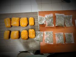 Gagalkan Peredaran 1,5 Kg Ganja, Polresta Jayapura Kota Ringkus WNA asal PNG di Waena