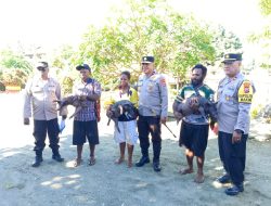 Sinergi Kamtibmas dan Ekonomi, Kapolda Papua Tengah Dorong Kemandirian Peternak Makimi Lewat Bantuan Ternak