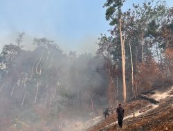 Polda Papua Tengah Gerak Cepat Padamkan Kebakaran Hutan di Nabire Barat