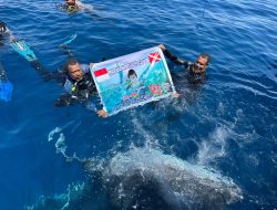 Pesan Kemerdekaan dari Teluk Cenderawasih: Menjaga Hiu Paus, Membangun Masa Depan Papua Tengah